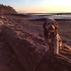 Meet your Posher, Sheila